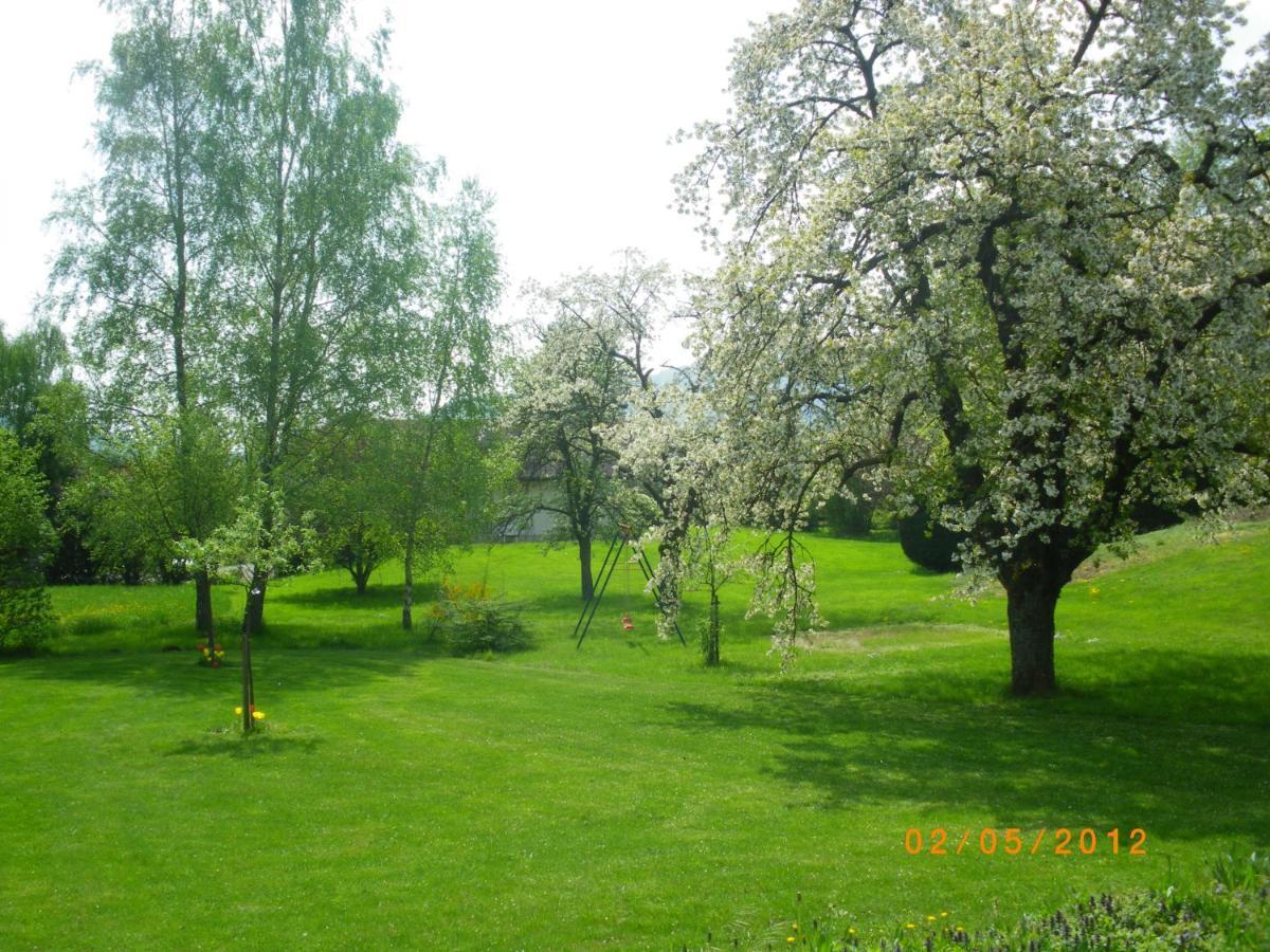 Entre Thur Et Montagne Willer-sur-Thur Exterior photo